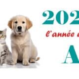 2025, l'année des A